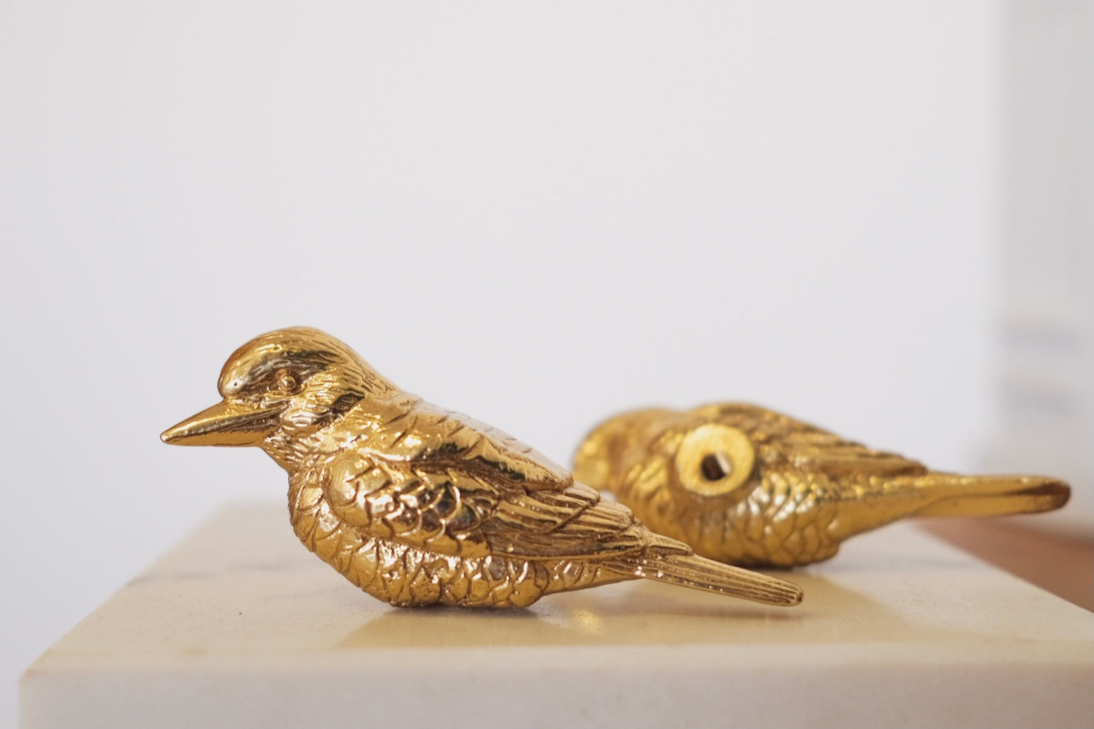 Robine Brass Handles