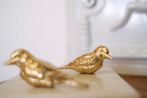 Robine Brass Handles